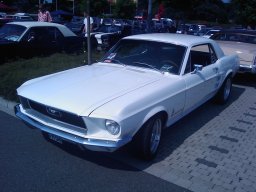 Big Bumper Meet 2010